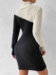 Meliza's Contrast Turtleneck Sweater Dress