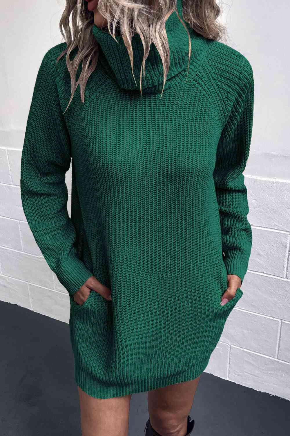 Meliza's Turtleneck Sweater Dress with Pockets